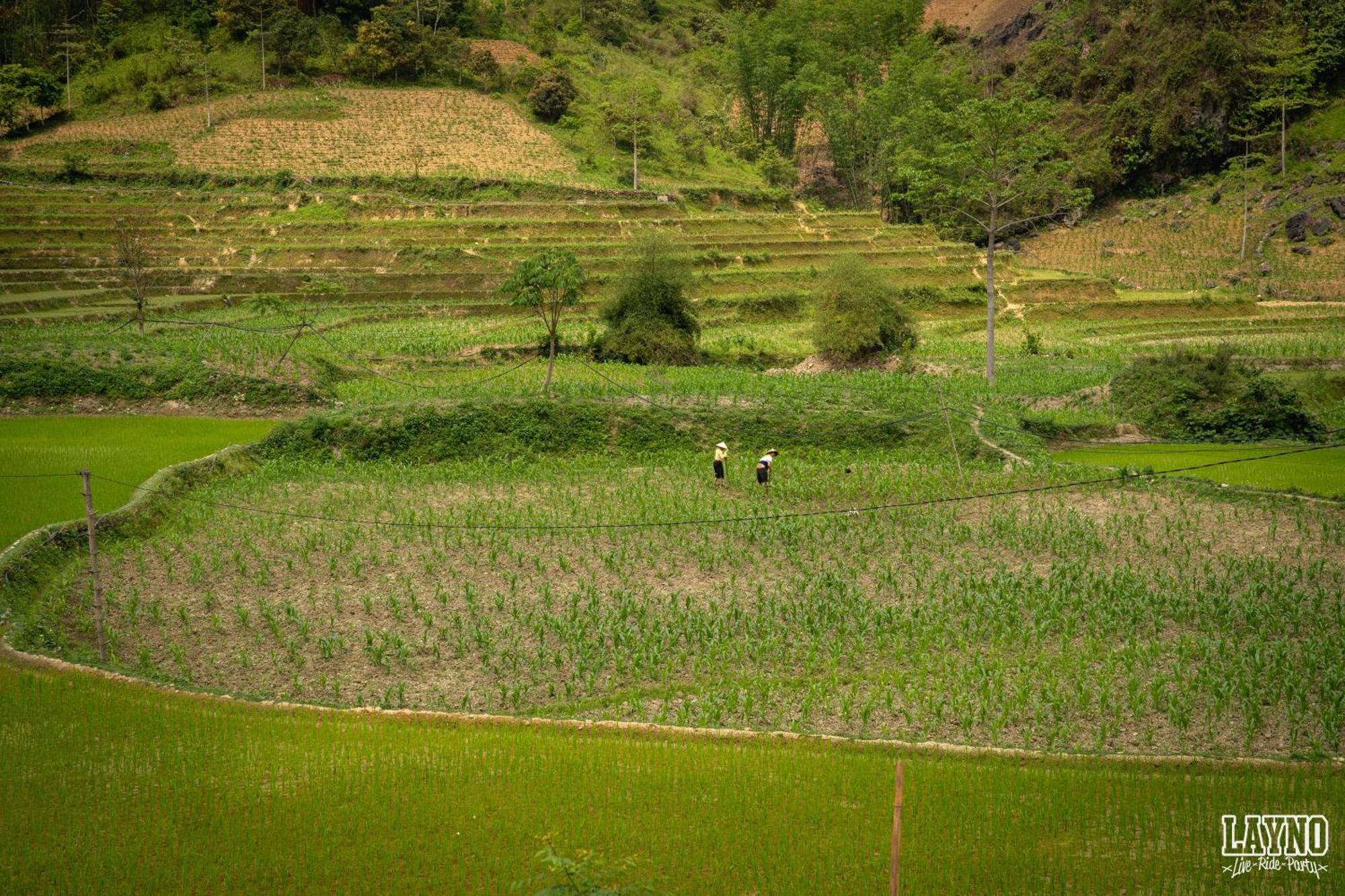 Quiri Hostel Ha Giang Lang Lap Экстерьер фото
